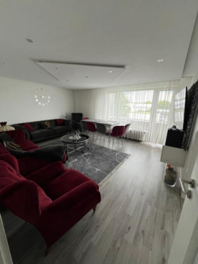 Wohnung - Elegance Kassel